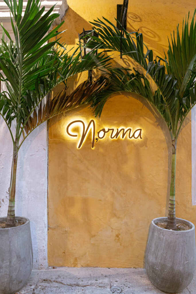 Cocina Mediterránea: Una Aventura Culinaria en Colombia